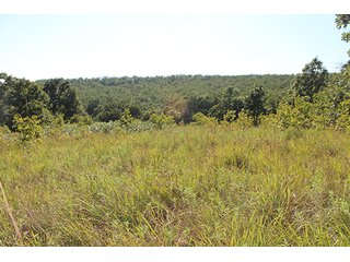 Property photo 49 - LAND AUCTION - 440+/- ACRES OFFERED IN 17 TRACTS IN OSAGE CO., OKLAHOMA